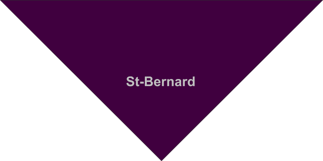 Foulard St-Bernard