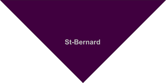 Foulard St-Bernard Foulard St-Bernard